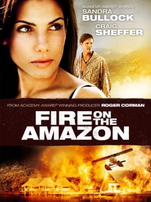 Amazonka v plamenech