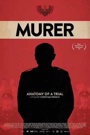 Murer - Anatomie procesu