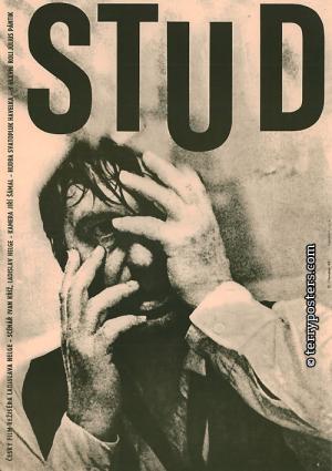 Stud