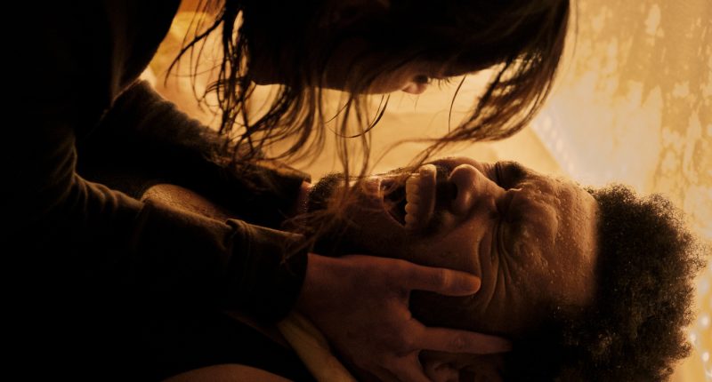 Hurry Up Tommorow / Lionsgate