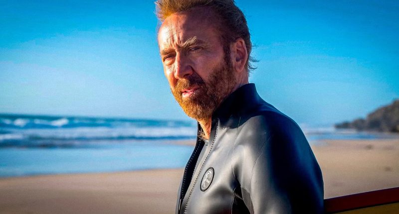 The Surfer / Foto: Madman Entertainment
